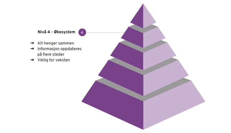 Digitaliseringspyramiden-4NO