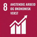 Mål 8