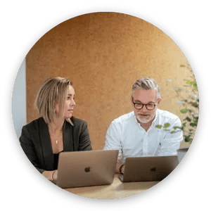 web ball - kurs