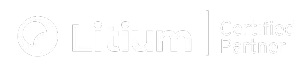 Litium Certified partner