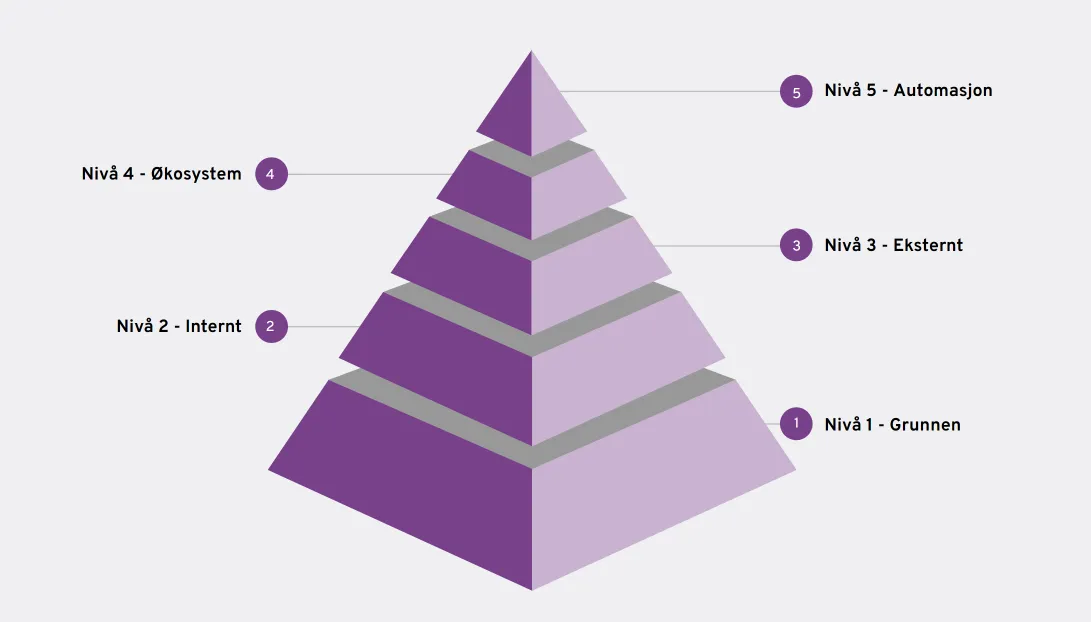 Digitaliseringspyramiden