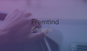 Fremtind Service