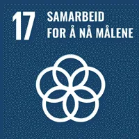 Mål 17