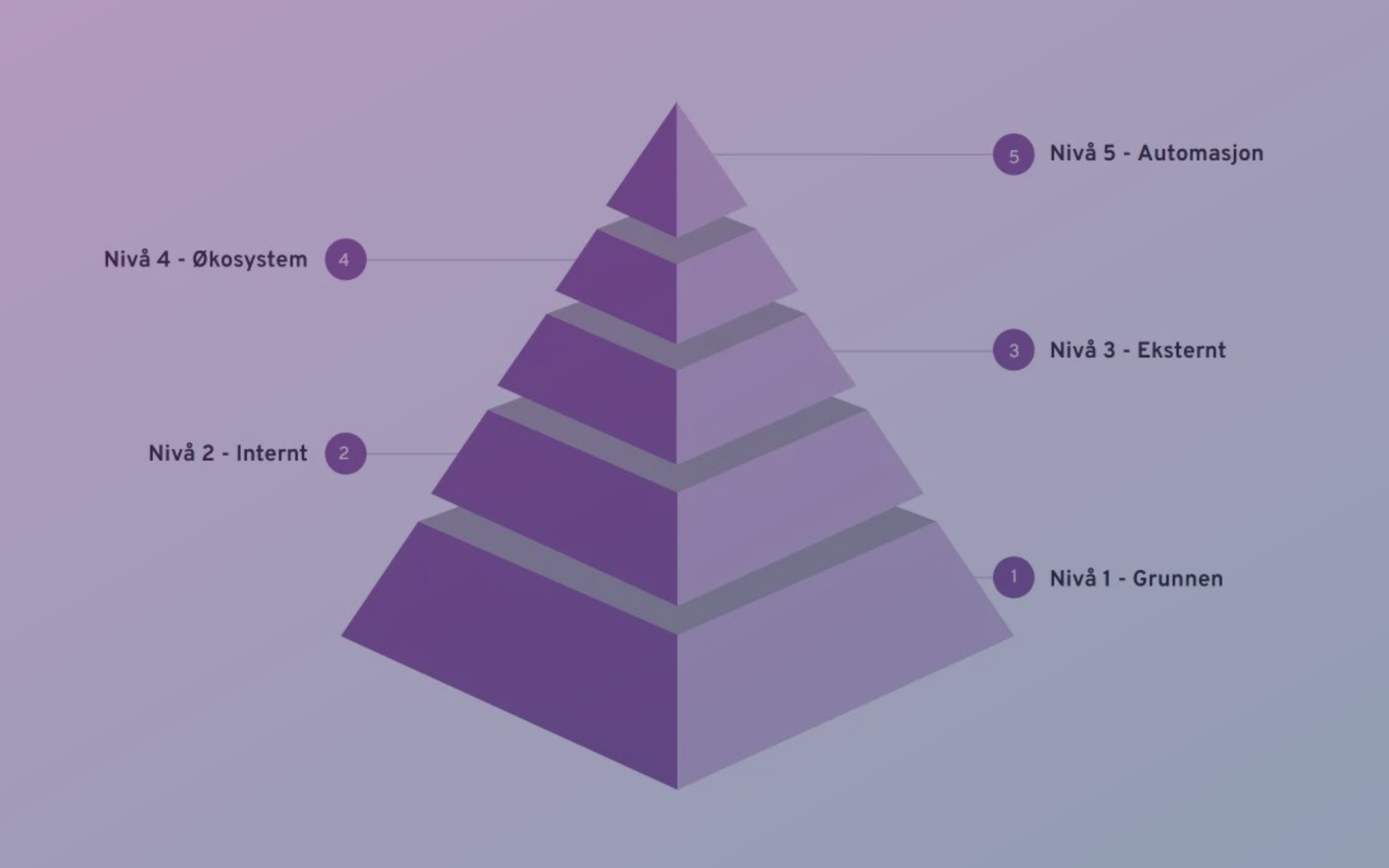 Digitaliseringsmodenhet og Digitaliseringspyramiden