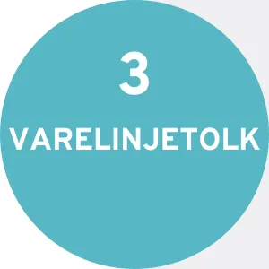 3.VARELINJETOLK 3.VARELINJETOLK