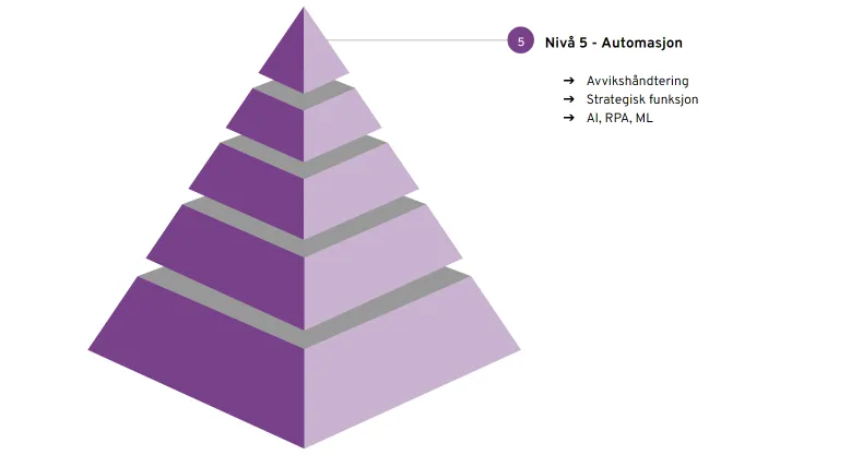 Digitaliseringspyramiden-5NO