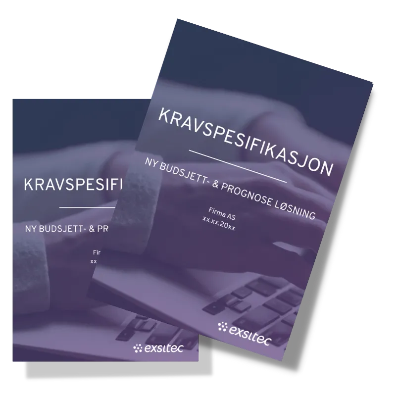 Kravspesifikasjon Budsjett og prognose