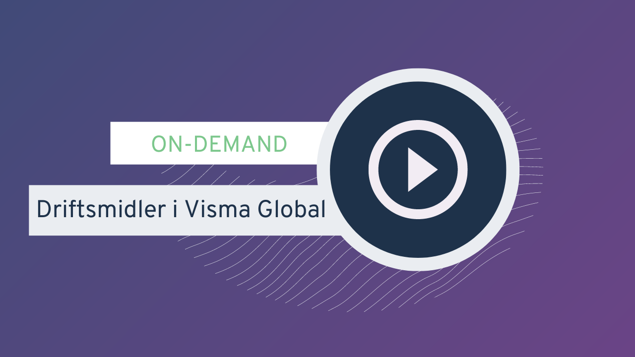 Driftsmidler i Visma Global
