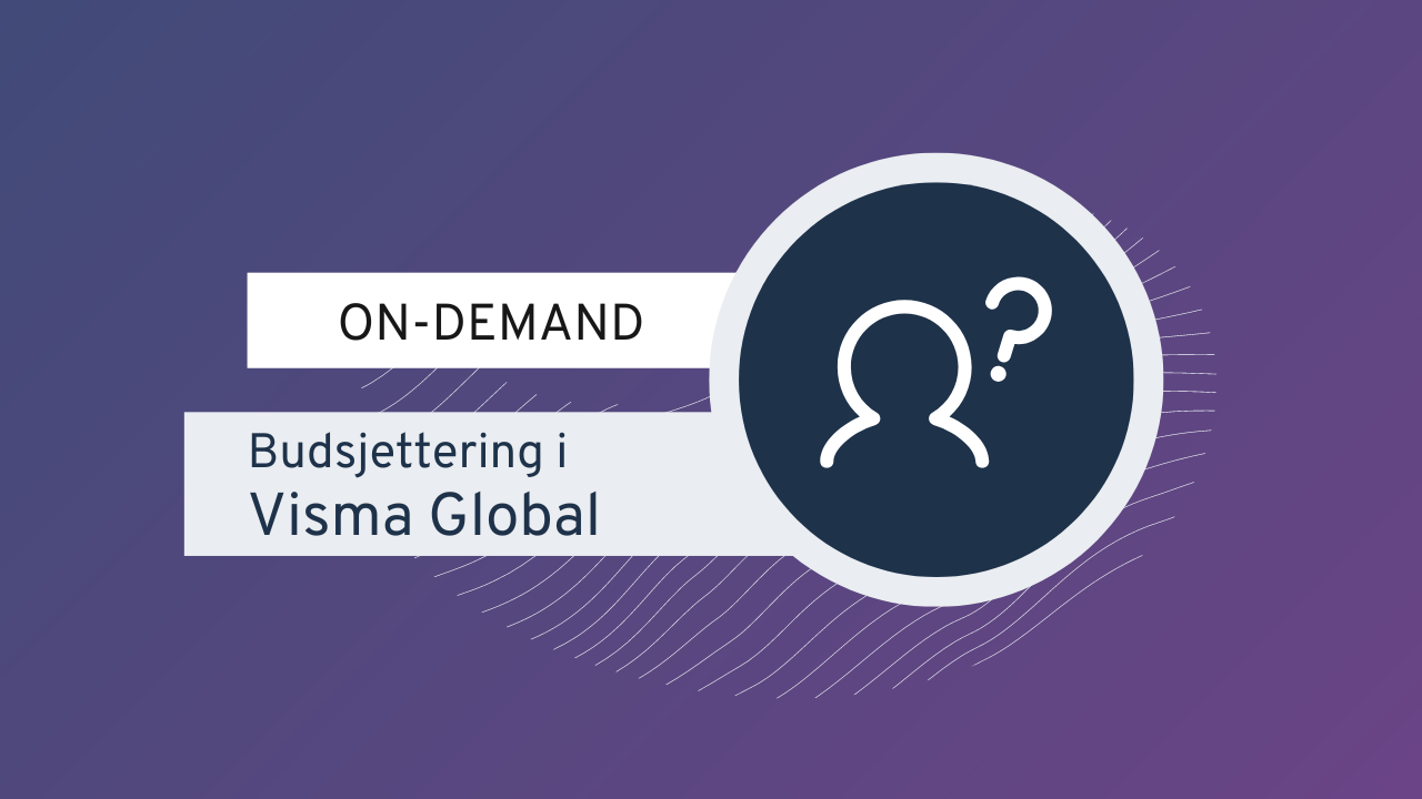 Budsjettering i Visma Global